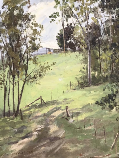 Original Oil Painting Hooper Rd Warrandyte Titled “hilltop Path” Signed 1983 Donald Cameron (1927 )