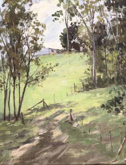 Oil Painting By Donald Cameron Hooper Rd Warrandyte Titled “hilltop Path” Signed 1983 (2)