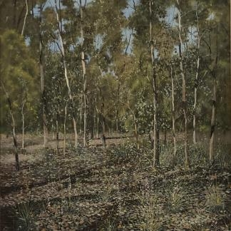 “Untitled Bush Scene” Herman Pekel (Australian 1956-) 1
