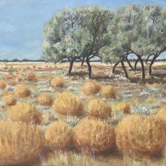 “Untitled Mallee Scrub” Marg Whyte (Attributed Not Signed) 1