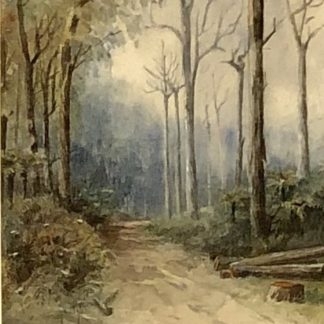 Untitled “Forest Road” Australian Watercolour Painting Circa 1893 1