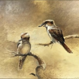 “Australian Kookaburra” Oil Painting By William “BILL” Beavan