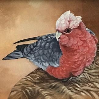 “Galah” Oil Painting By Gayle Russell (Australian)