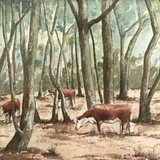 “In The Barmah” Watercolour Painting By By Alan Maas (Australian Maryborough 1930-)