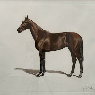 Untitled “The Horse” by Jean-Marie Rivet (France) 1
