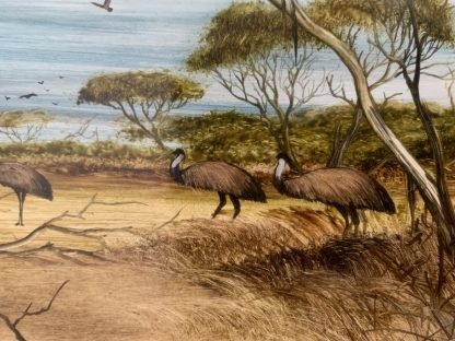 “Emu Parade” “Outback Wild” Robert Taylor (Scotland, New Zealand 1945-97) 7