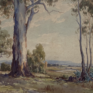 “The Gums” (Untitled) Watercolour Painting By Arnold Jarvis