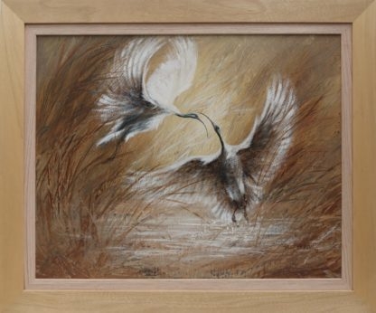 Bill Beavan Australian Ibis The McCorry Collection 3
