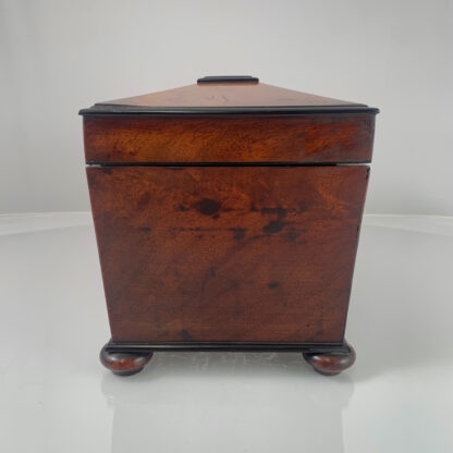 Early 19th Century English Georgian Mahogany Tea Caddy with fitted interior 2
