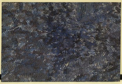 “Untitled Yam Dreaming” Anna Price Petyarre (Australian Aboriginal 1965-) 3