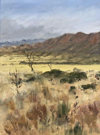 “On the Road to Arkaroola” - Image 4