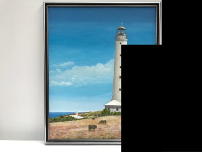 “House With A View” King Island Alan Maas 2