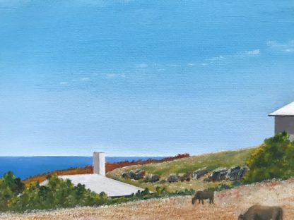 “House With A View” King Island Alan Maas 11