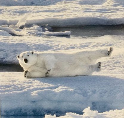 ‘Rolling On The Ice’ (Untitled) Norm Neilson (Australian) 1