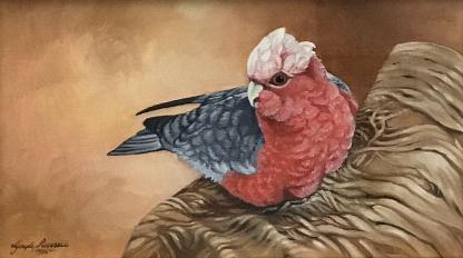 “Galah” Oil Painting By Gayle Russell (Australian)