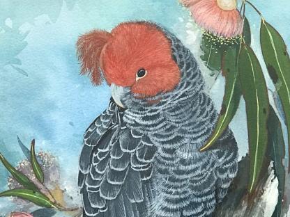 “Gang Gang Cockatoo” Oil Painting By Gayle Russell 5