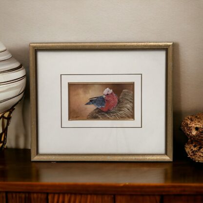 Original Oil On Board By Gayle Russell “Galah” Signed By Artist Lower Left 1996 11