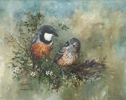 “Rufous Whistlers” Watercolour Painting By Gayle Russell (Australian) 1