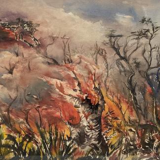 Original Watercolour Painting By Gunars Krumins “Bushfire”