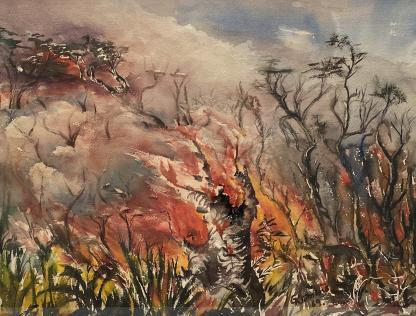 Original Watercolour Painting By Gunars Krumins “Bushfire”