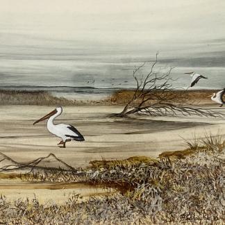 “Coorong Kings” (Coorong Series) Oil Painting Robert Taylor (Scotland, New Zealand 1945-97)