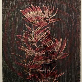 Sir Sidney Robert Nolan Flower Study Colour Screenprint 1