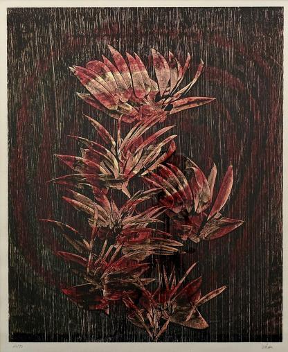 Sir Sidney Robert Nolan Flower Study Colour Screenprint 1