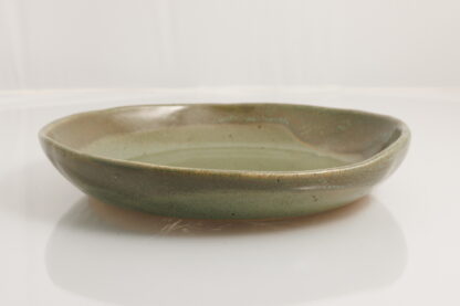 Hand Made Pottery Dinner Plate Decorated In Our Aussie Bush Glaze 9