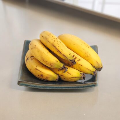 Hand-built Slab Pottery Fruit Dish With Our Stonewash Blue Glaze Handmade In Our Studio in Melbourne Australia 10