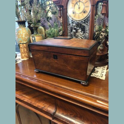 Early 19th Century English Georgian Mahogany Tea Caddy with fitted interior 2