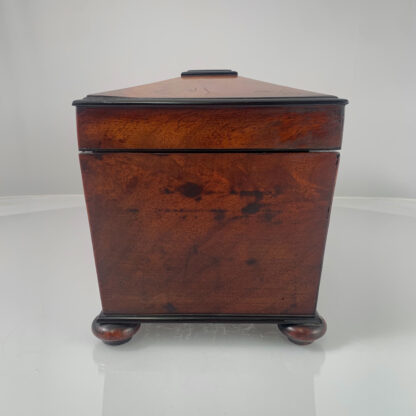 Early 19th Century English Georgian Mahogany Tea Caddy with fitted interior 2